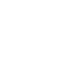 accessibility toggle